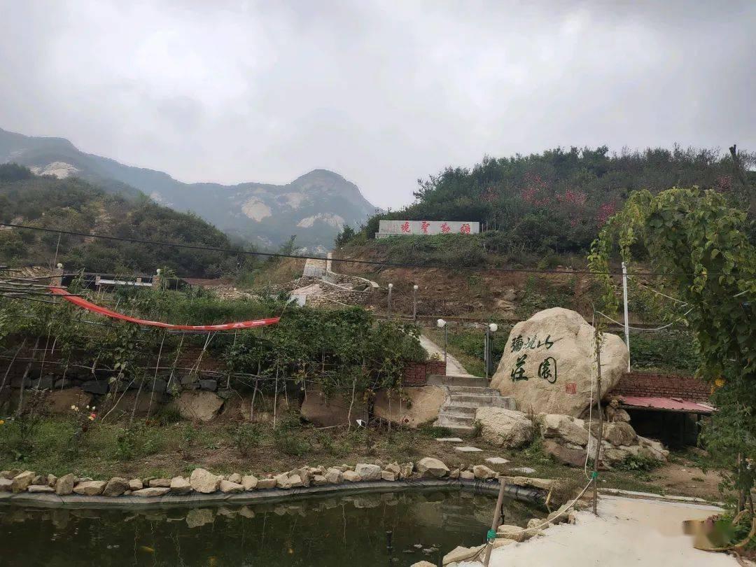 了解汽车交购置税需要带什么资料,体验知识星球平台的魅力!