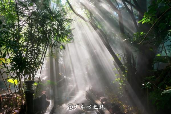 沪江开心词场