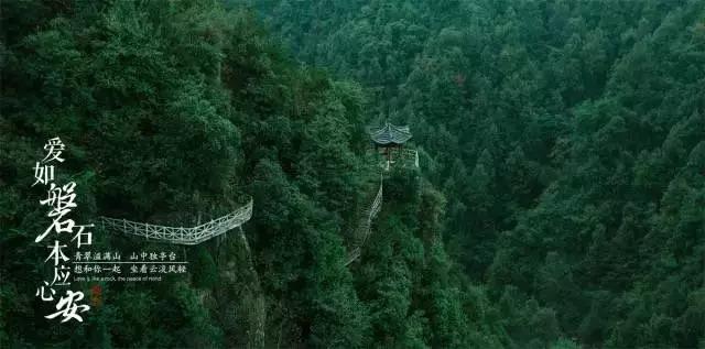 金星的个人介绍- 专业有问必答平台