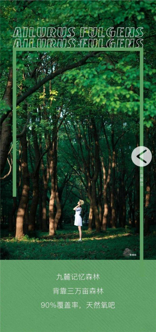 沪江开心词场