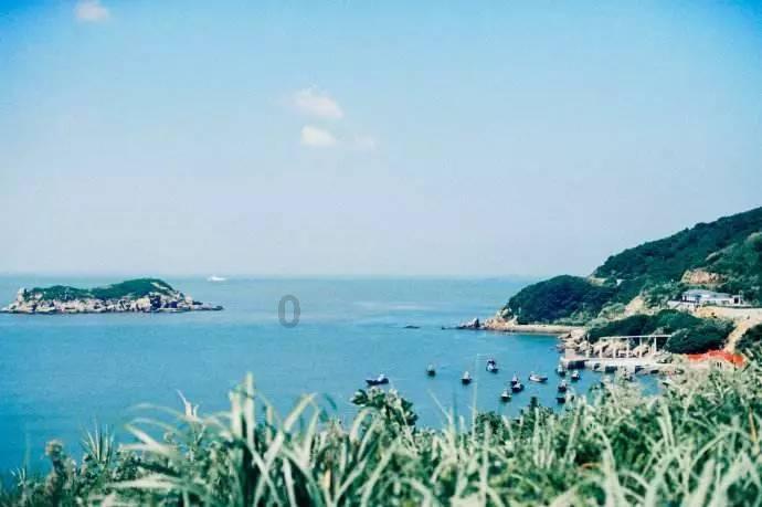虫虫助手下载