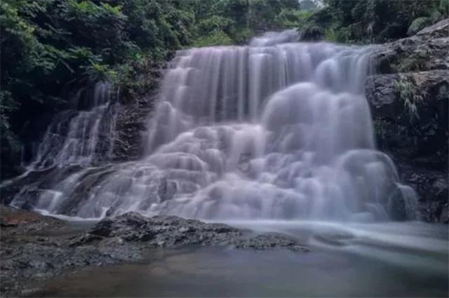 沪江开心词场